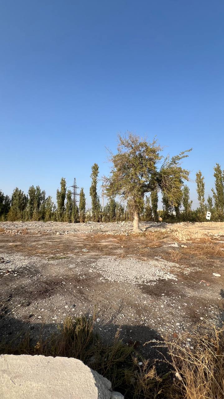 800 m² — Sadvinsavxoʻz kvartali, KIUF Muhandislik binosi yonida — Obyekt kodi 2567 — 2-surat